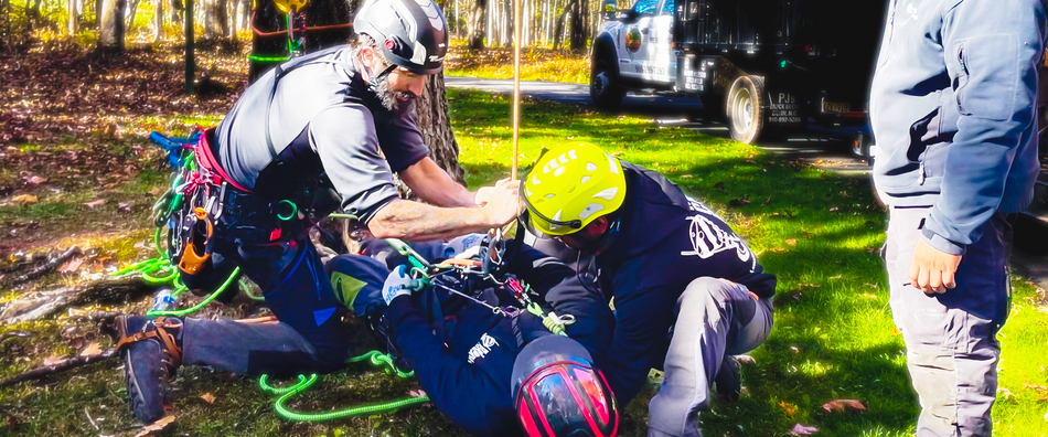 Aerial Rescue