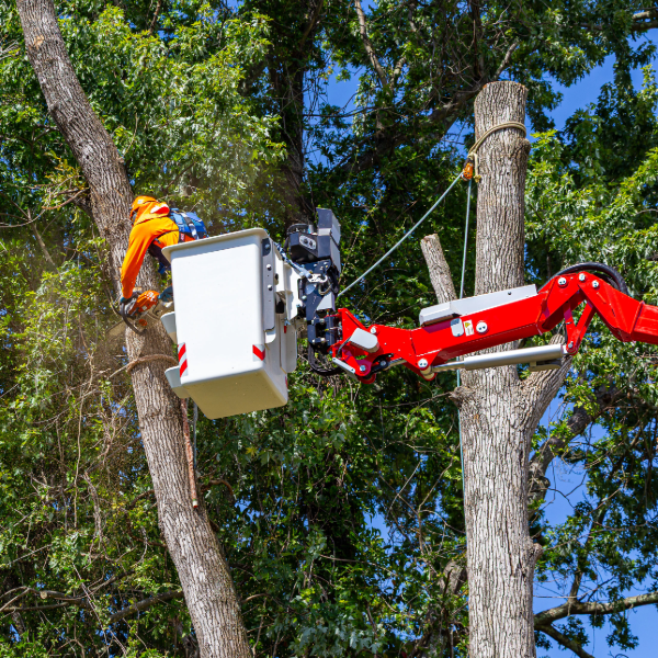 Introduction to Aerial Lifts